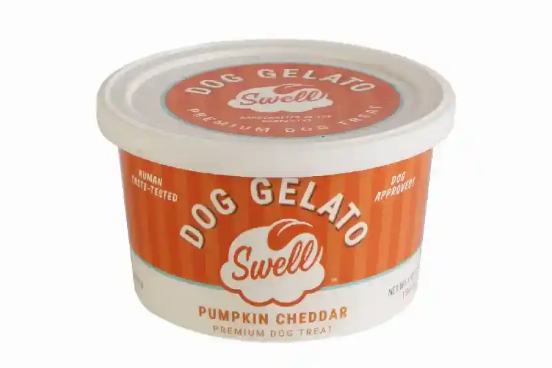 Swell Frozen Gelato -  Pumpkin Cheddar -  4oz