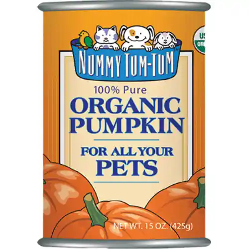 Nummy Tum - Orgnc Puree Ppkn