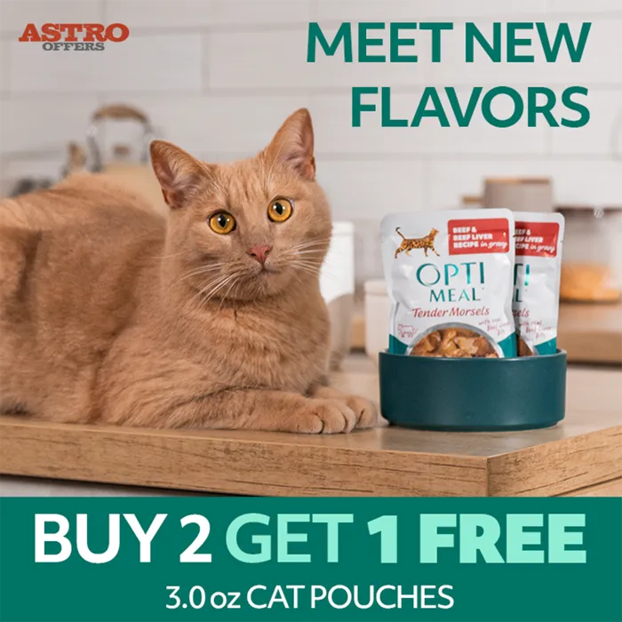 Promotion Image