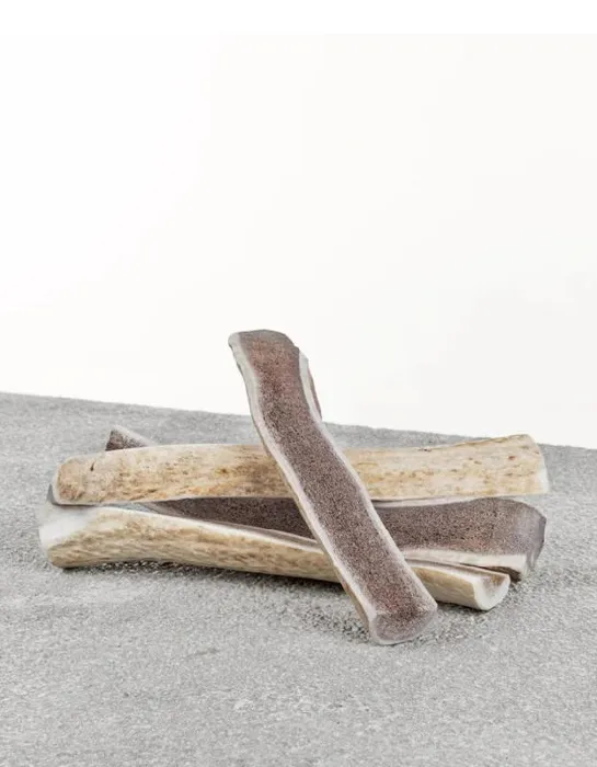 Primal Elk Antler Split Xl 10+"