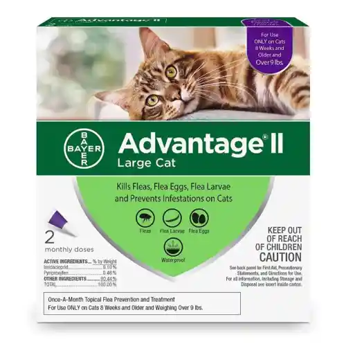 Advantage Cat - F&T Medication Large (Over 9#) - 2-Pack