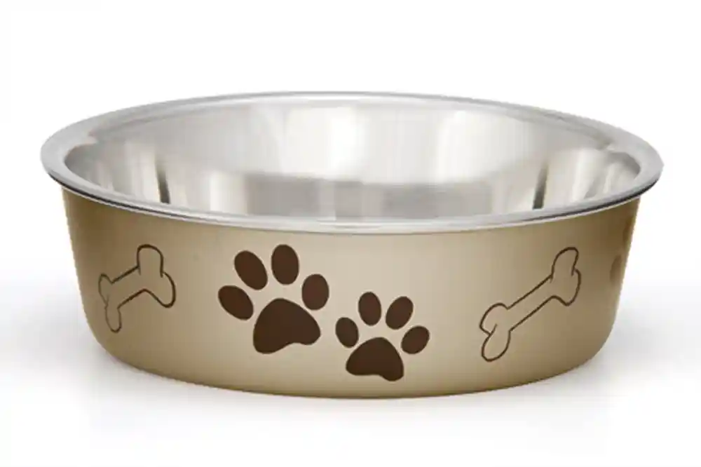 Loving Pets Bowls Bella Bowl - Champagne - Medium