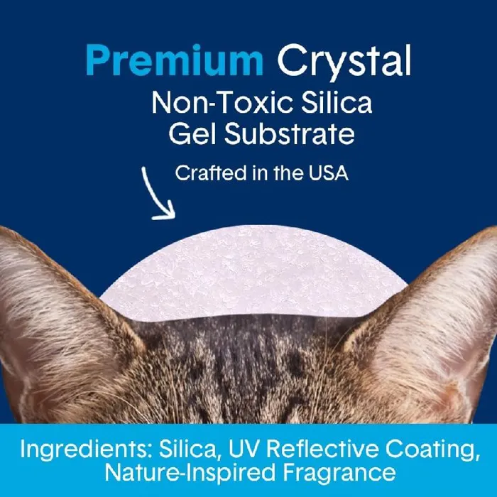 Boxiecat 6 Lb Glo Crystal Scented Non Clumping Lit
