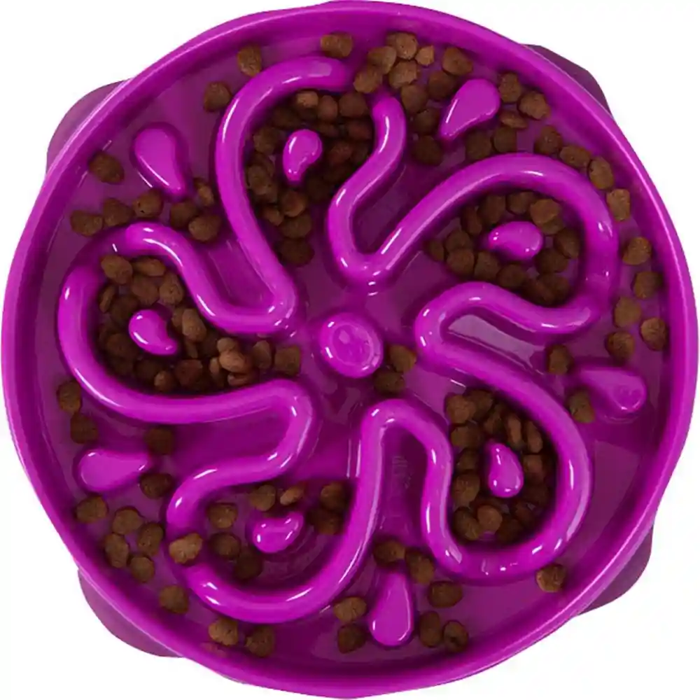 Outward Hound Fun Feeder Slo Bowl Large (Regular) - Purple