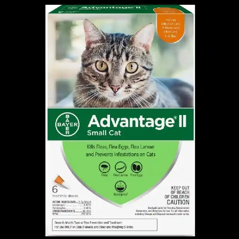 Advantage Cat - F&T Medication Small (5-9#) - 6-Pack