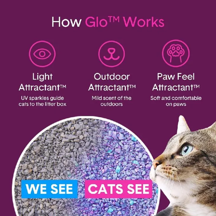 Boxiecat 6 Lb Glo Crystal Scented Non Clumping Lit