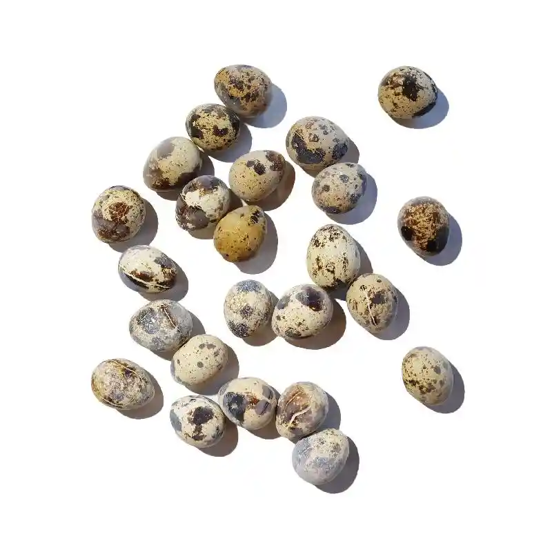 Savage Cat Frzn Raw Food Quail Eggs - 24-ct