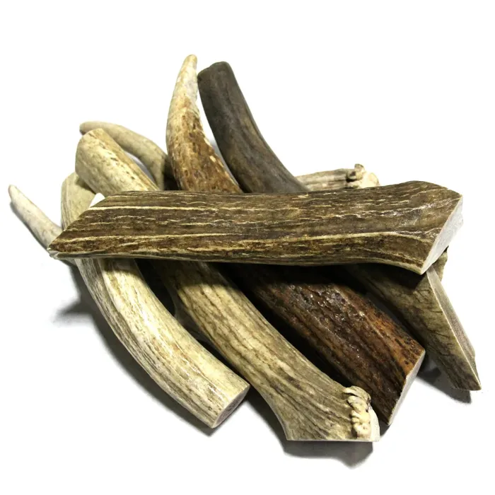 Tuesdays Elk Antler Medium