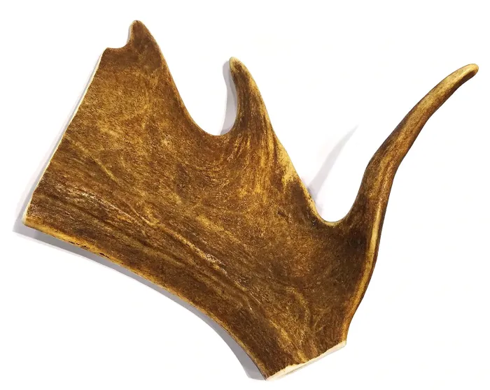 Tuesday's Nat Dog Co. Large Paddle Antler