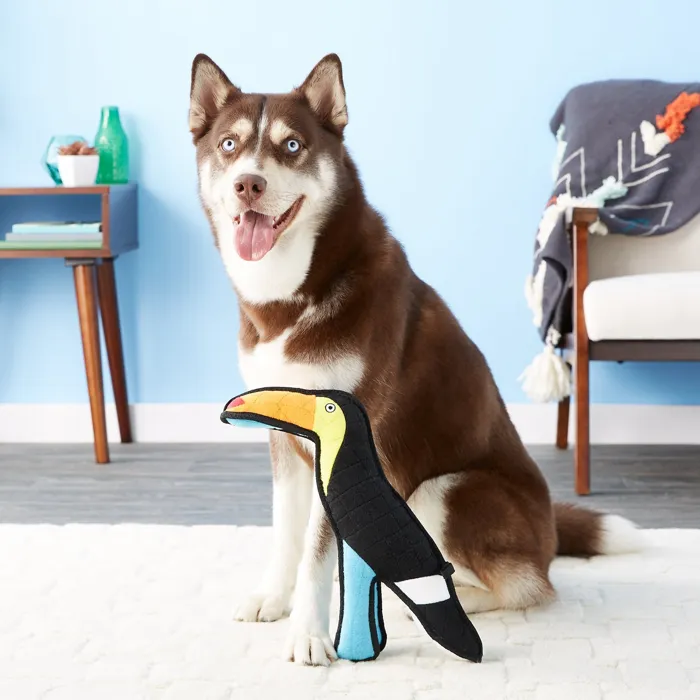 Zoo Togo Toucan Dog Toy Large