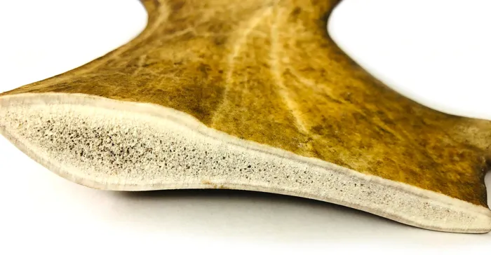 Tuesday's Nat Dog Co. Large Paddle Antler