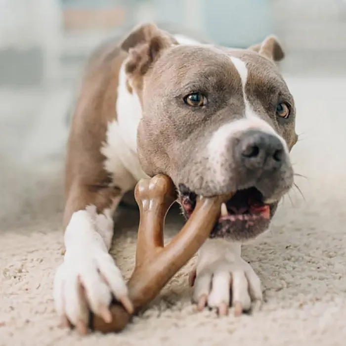 Benebone Wishbone Bacon Large dog chewing toy