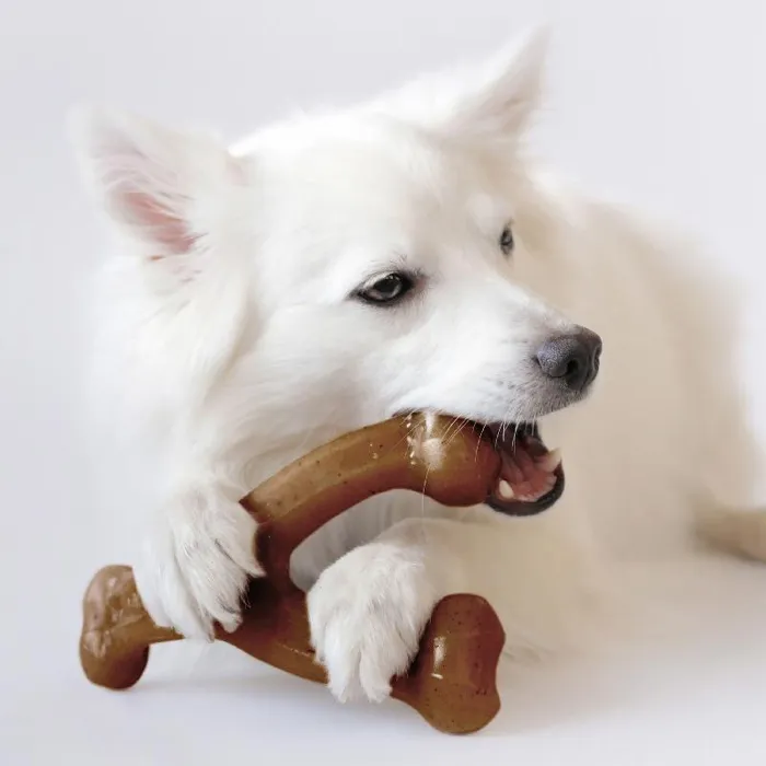 Benebone Dog Wishbone Bacon Medium