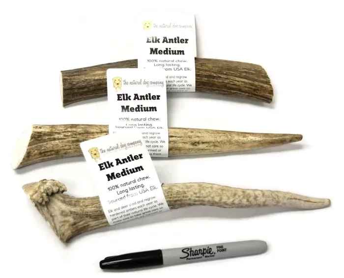 Tuesdays Elk Antler Medium