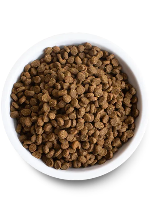Open Farm Grain Free Wild Caught Salmon Recipe Dry Cat Food 4-lb
