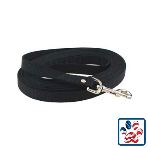 Nylon Web Lead 30 Foot Black