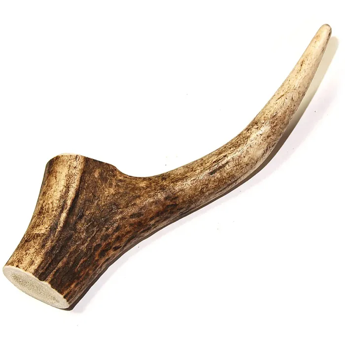 Tuesdays Deer Antler Whole Small