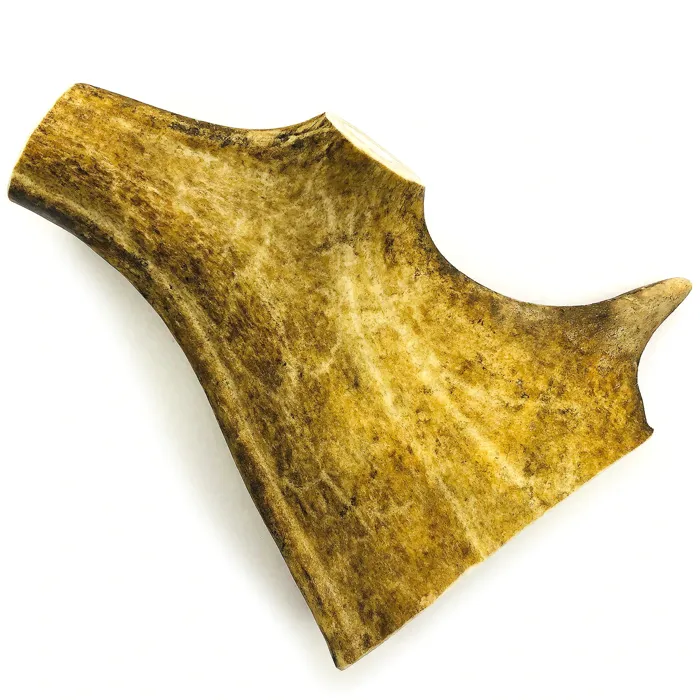 Tuesday's Nat Dog Co. Large Paddle Antler